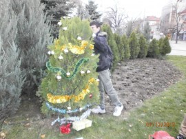 Младежи украсиха елха в центъра на Казанлък