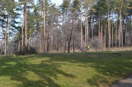 На 22, 23 и 24 март залесяваме „Тюлбето“ / Новини от Казанлък