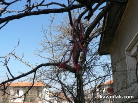 В Овощник свалиха мартениците - дойдоха първите щъркели