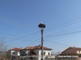 В Овощник свалиха мартениците - дойдоха първите щъркели