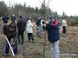 Въпреки лошото време 300 души се включиха в залесяването на “Тюлбето“