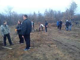 Скаути залесяваха в парк „Тюлбето“