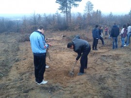 Скаути залесяваха в парк „Тюлбето“