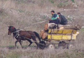 Заловени престъпници / Новини от Казанлък