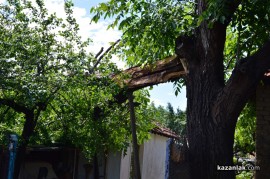 Огромен орехов клон събори покрива на казанлъшка къща