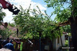 Огромен орехов клон събори покрива на казанлъшка къща