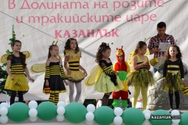 Мини Царица Роза 2013/1