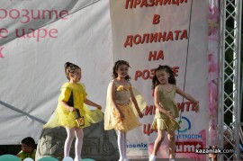 Мини Царица Роза 2013/1