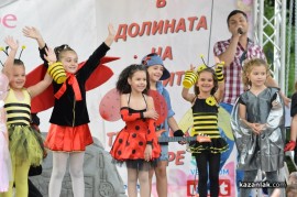 Мини Царица Роза 2013/2