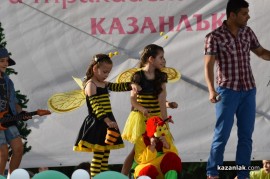 Мини Царица Роза 2013/1