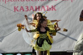 Мини Царица Роза 2013/1