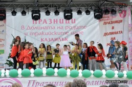 Мини Царица Роза 2013/1