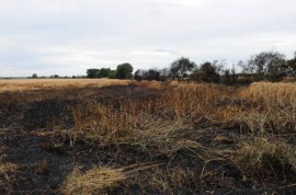 Навлязохме в пожароопасния летен сезон. Превенция и мерки за обезопасяване