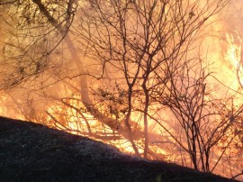 Навлязохме в пожароопасния летен сезон. Превенция и мерки за обезопасяване / Новини от Казанлък