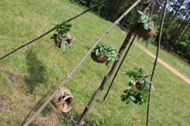 Екофест “Копринка 2013“ събра доброволци от цял свят