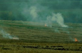 Забранява се пушенето и паркирането в полето / Новини от Казанлък