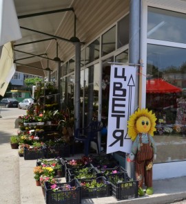 На Еньовден се открива нов пазар за цветя и нов паркинг в Казанлък / Новини от Казанлък