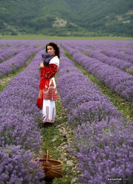 Лавандулови полета 