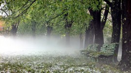 Фитнес и детски площадки, чешми и тоалетни в Розариума и Тюлбето до юни догодина / Новини от Казанлък