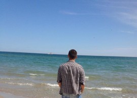 До щастливото стадо псуващи овце