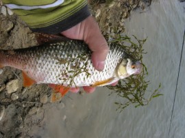 Хванаха бракониерстващ с 270 метра мрежи на язовира / Новини от Казанлък