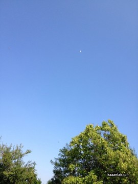 Видео: Бяла лястовица лети над Аквапарка в Овощник