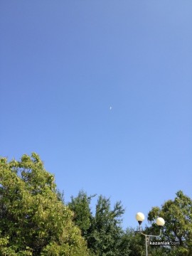 Видео: Бяла лястовица лети над Аквапарка в Овощник