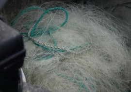  Заловиха бракониери докато разполагали мрежите си / Новини от Казанлък