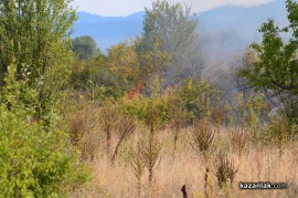Видео и снимки: Пожар близо до Тулово