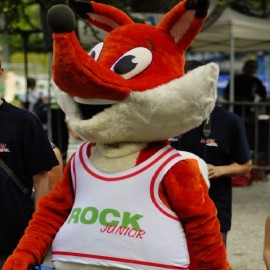 Казанлъшките катерачи участваха на едно от най-силните състезания в света / Новини от Казанлък