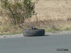 Тежка катастрофа на изхода на Казанлък в посока Копринка