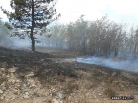 ВИДЕО: Пожарът на Тюлбето - гори гората на североизток (обновена)