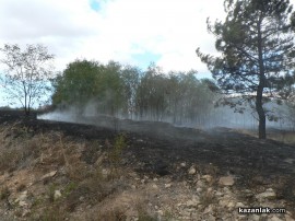 ВИДЕО: Пожарът на Тюлбето - гори гората на североизток (обновена)