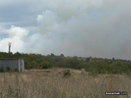 ВИДЕО: Пожарът на Тюлбето - гори гората на североизток (обновена)