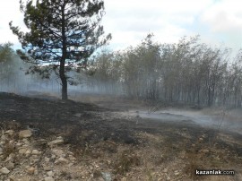ВИДЕО: Пожарът на Тюлбето - гори гората на североизток (обновена)