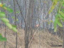 ВИДЕО: Пожарът на Тюлбето - гори гората на североизток (обновена)