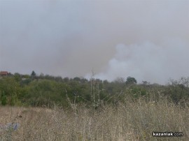 ВИДЕО: Пожарът на Тюлбето - гори гората на североизток (обновена)