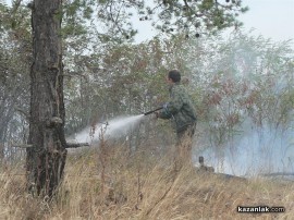 ВИДЕО: Пожарът на Тюлбето - гори гората на североизток (обновена)