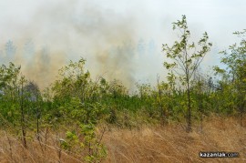 Пожарът на Тюлбето