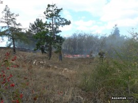 ВИДЕО: Пожарът на Тюлбето - гори гората на североизток (обновена)