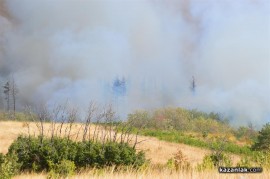 Пожарът навлезе в борова гора югоизточно от Горно Изворово/обновено - 1200 декара са изгорели/