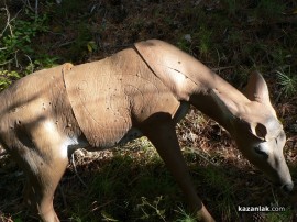 Стрелци с лък се целиха по диви животни край язовира