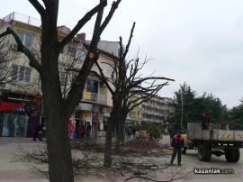 В центъра започна поставянето на коледната украса и подкастряне на дървета