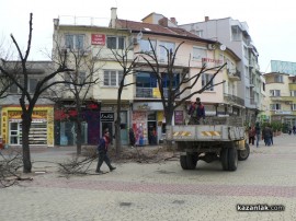 В центъра започна поставянето на коледната украса и подкастряне на дървета