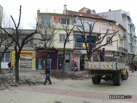 В центъра започна поставянето на коледната украса и подкастряне на дървета