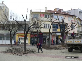 В центъра започна поставянето на коледната украса и подкастряне на дървета