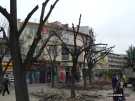 В центъра започна поставянето на коледната украса и подкастряне на дървета