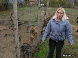 „Промени Казанлък“ помогна на приют за животни стопанисван от Румен и Ивелина