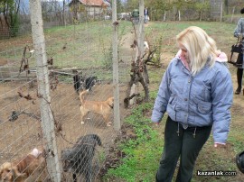 „Промени Казанлък“ помогна на приют за животни стопанисван от Румен и Ивелина
