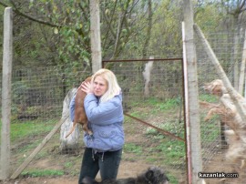 „Промени Казанлък“ помогна на приют за животни стопанисван от Румен и Ивелина